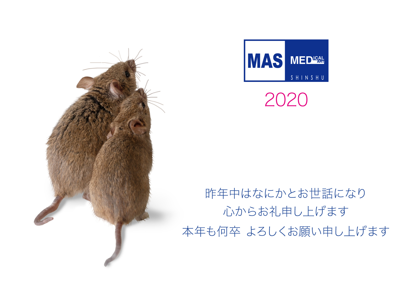 https://www.medicalart-shinshu.com/news/MAS%E5%B9%B4%E8%B3%80%E7%8A%B62020.jpg