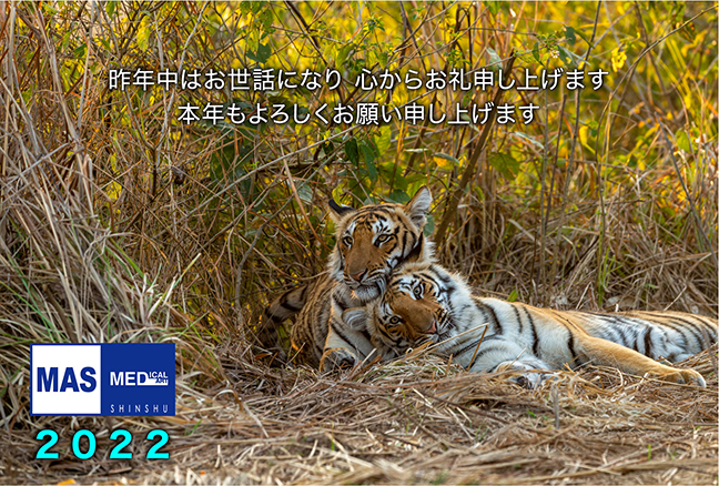 MAS年賀状2022.jpg