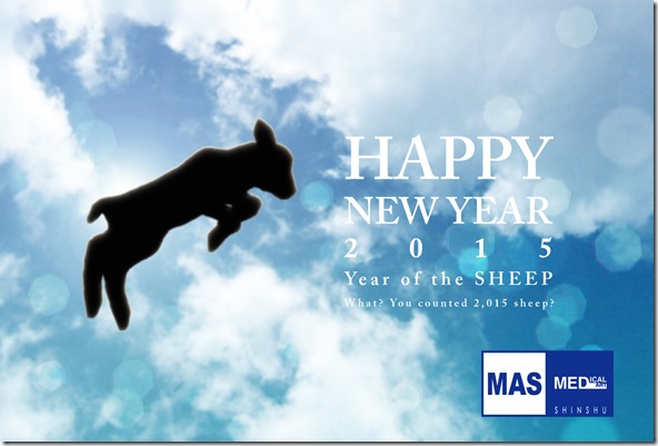 2015.MAS年賀状