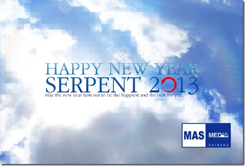 2013.MA信州年賀状web