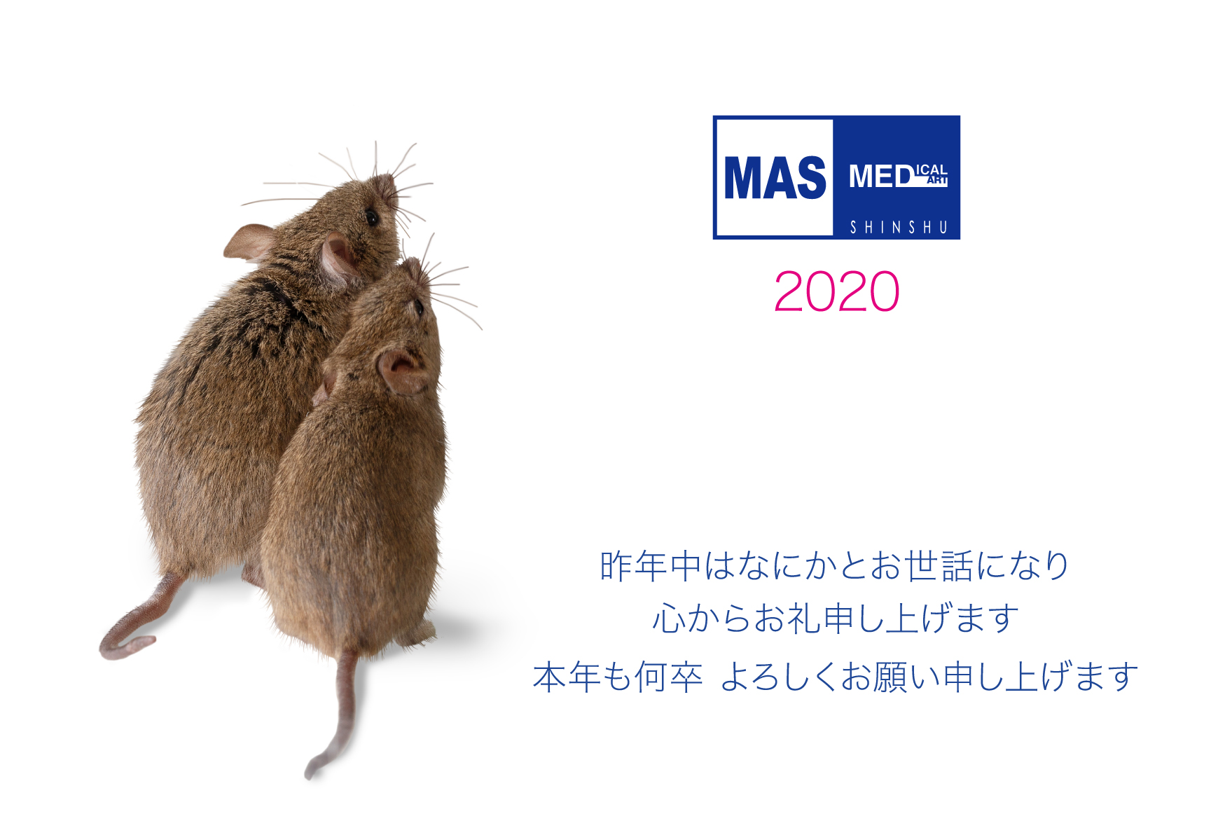 MAS年賀状2020.jpg